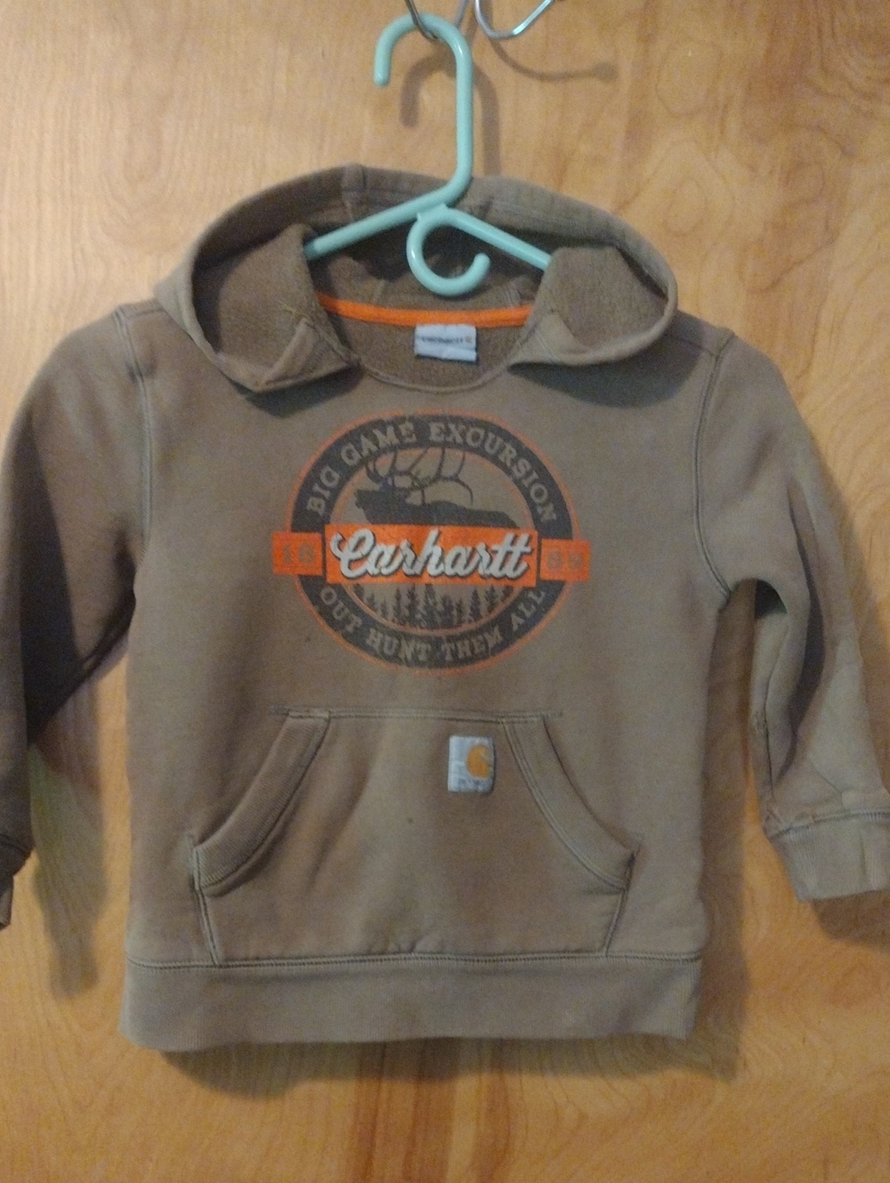 Carhartt Boys' Brown Hooded Sweatshirt with Graphic 6